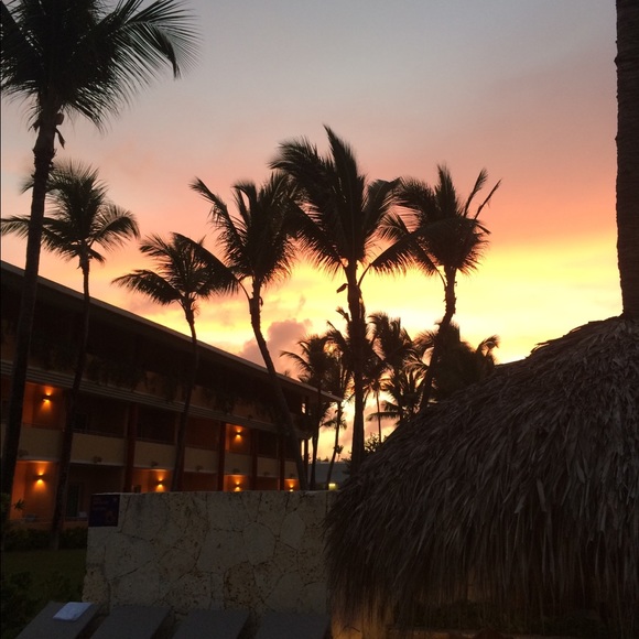 Meet your Posher, Carly - Picture 1 of 1